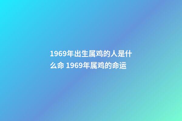 1969年出生属鸡的人是什么命 1969年属鸡的命运-第1张-观点-玄机派